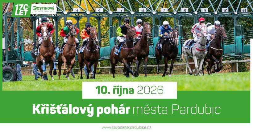 Křišťálový pohár města Pardubic