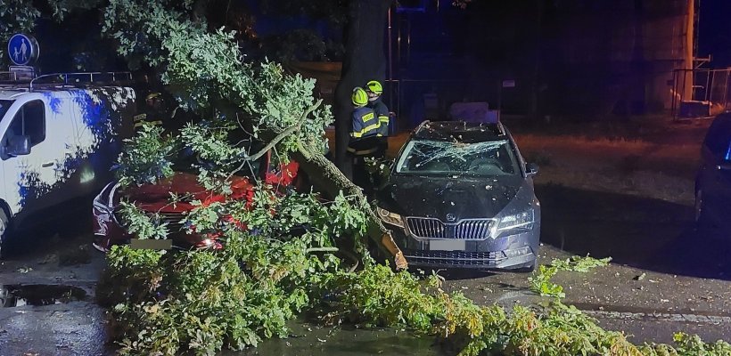 Zabydlel se ve vystaveném stanu. A přitom na něj čekalo ubytování ve věznici; Strom spadl na dvě auta
