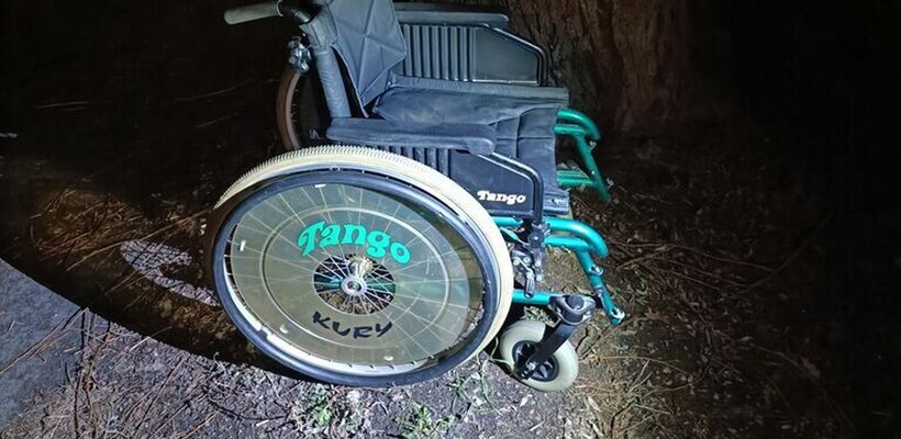 Králíček, peníze a invalidní vozík. To vše se našlo v Pardubicích
