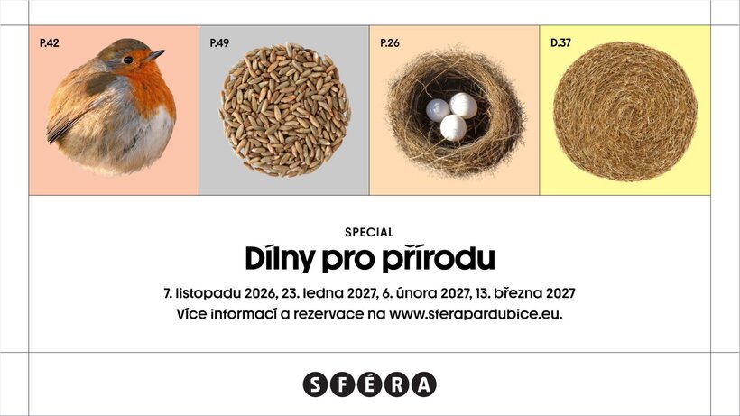 Dílny pro přírodu: Budky pro ptáky i veverky