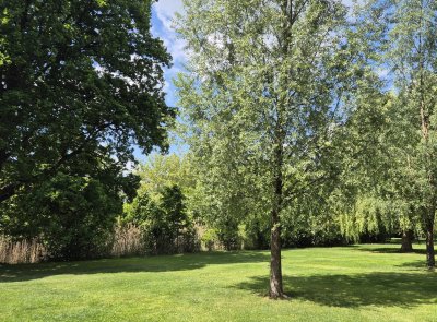 Jih Pardubic ožije novou zelení. Vznikne sad s krajovými odrůdami i prostor pro přírodu
