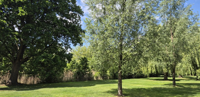 Jih Pardubic ožije novou zelení. Vznikne sad s krajovými odrůdami i prostor pro přírodu