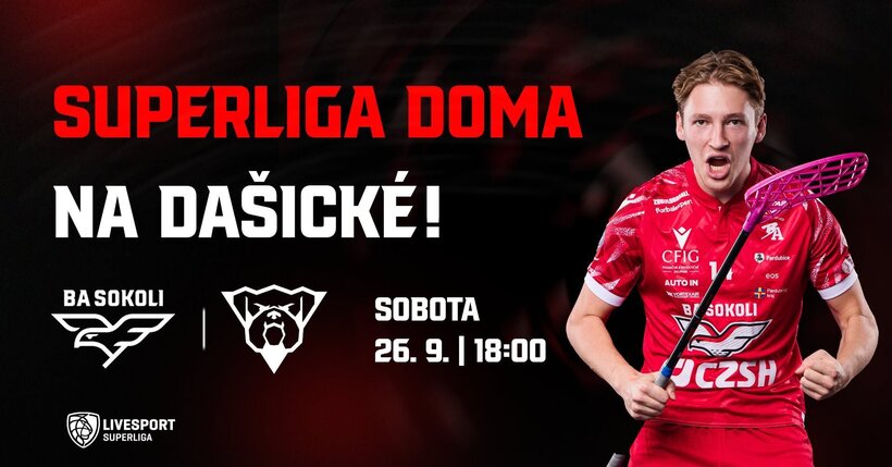 BA Sokoli Pardubice - Bulldogs Brno