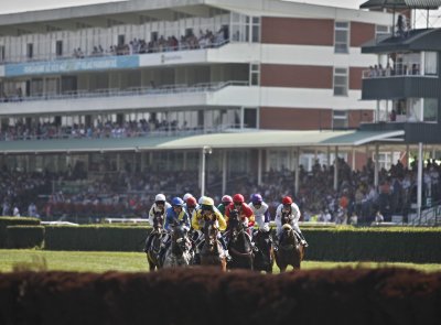 Evropský den koní v Pardubicích nabídne dostihy, workshopy i hosty z Belgie