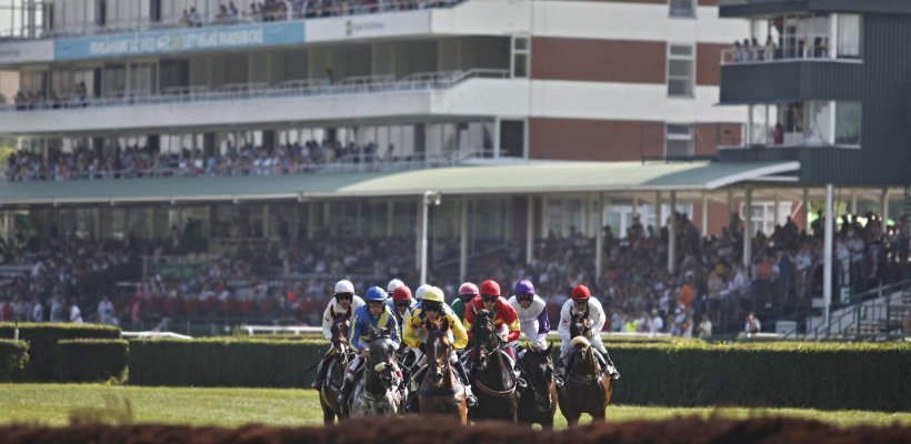 Evropský den koní v Pardubicích nabídne dostihy, workshopy i hosty z Belgie