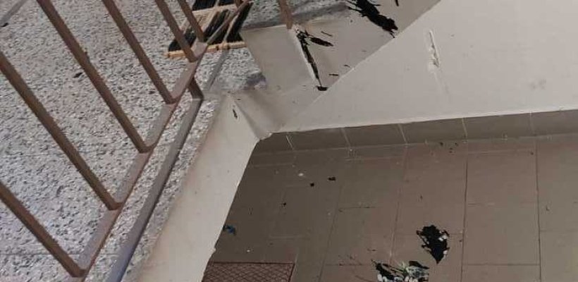 Děti experimentovaly. Co udělá plechovka barvy hozená z 8 patra?; Myslivecký hon v lese na Studánce; Strážníci krotili agresivní opilce