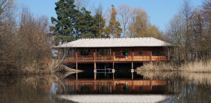 Čičák čeká proměna: odbahnění, nové tůně a zpevněné břehy