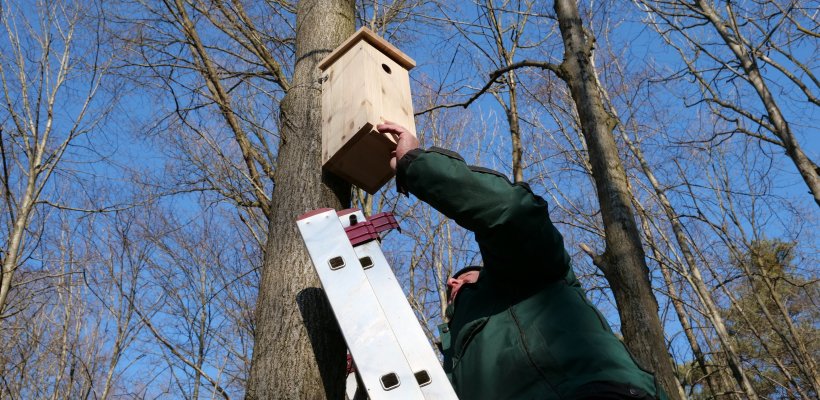 Město zapojilo veřejnost do výroby ptačích budek pro městské lesy