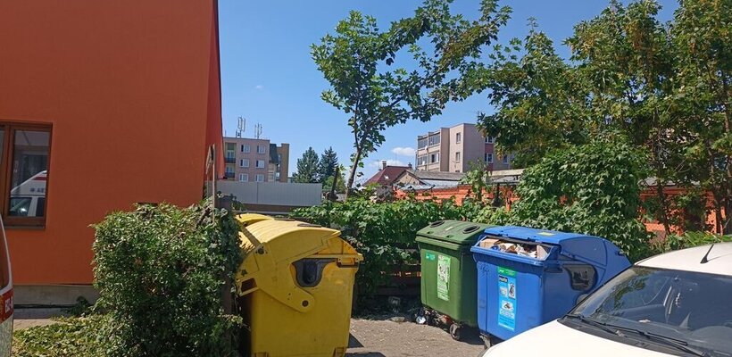 Strom bránila tělem i nadávkami; Na ex a přímo mezi regály