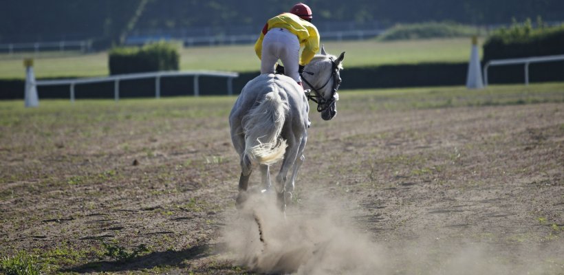 Modernizace Dostihového závodiště začíná: nové kolbiště nabídne špičkové parametry i větší komfort