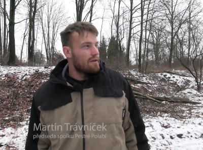 Tvoříme zdravější přírodu – zásahy proti náletům i invazním druhům, spolu s ochranou hodnotných stromů