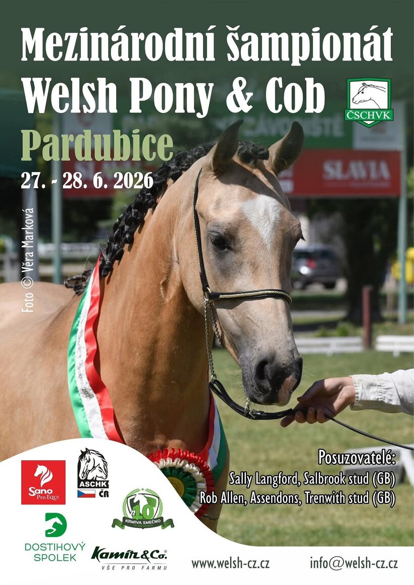Mezinárodní šampionát Welsh Pony & Cob