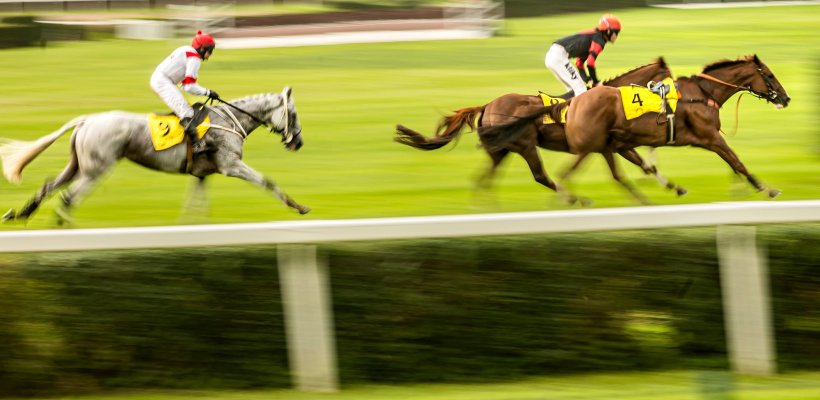 Poslední kvalifikační dostih se i letos pojí s Evropským dnem koní, vystřídají ho dožínky