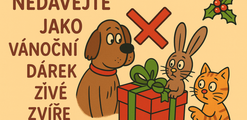 Zvíře jako nevhodný vánoční dárek