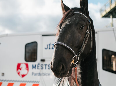 Do služby míří Rudolf a rovnou s novým autem