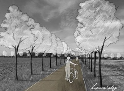 V Pardubicích vyroste Alej svobody. Zapojit se může každý