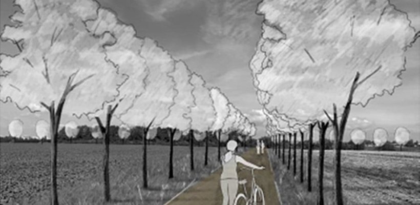 V Pardubicích vyroste Alej svobody. Zapojit se může každý