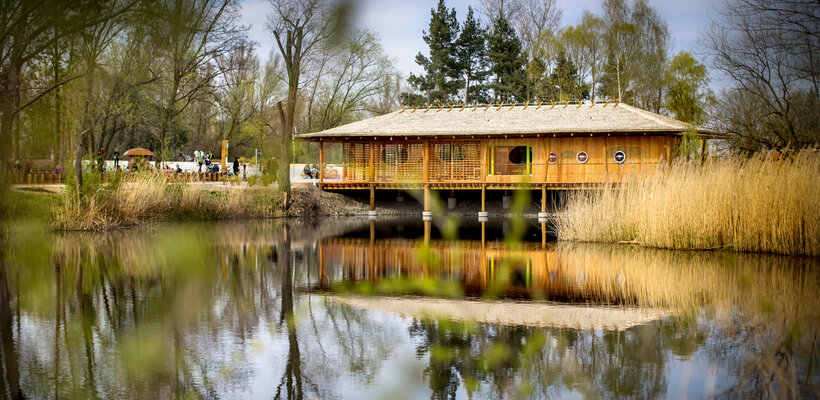 Architektonicko-výtvarná soutěž přinese do parku Na Špici novou naučnou stezku