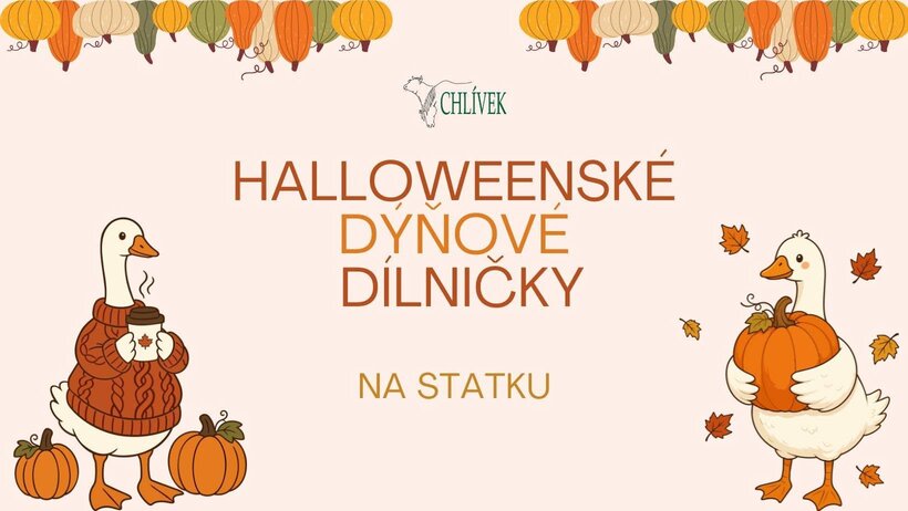 Halloweenské dýňové dílničky na statku