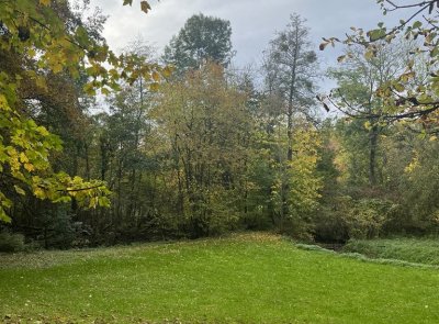 Pardubice chystají výsadbu zeleně v Popkovicích.  Přibydou stromy, keře i prostor pro odpočinek