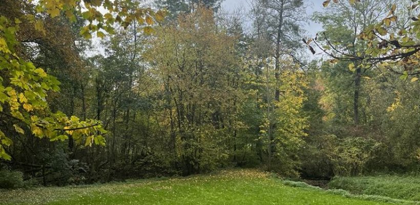 Pardubice chystají výsadbu zeleně v Popkovicích.  Přibydou stromy, keře i prostor pro odpočinek