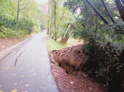 Parky musí o víkendu zůstat zavřené