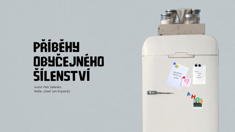 Příběhy obyčejného šílenství