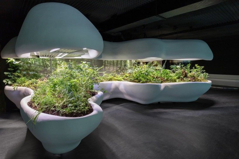 Přednáška architekta ze Studia Jinjan